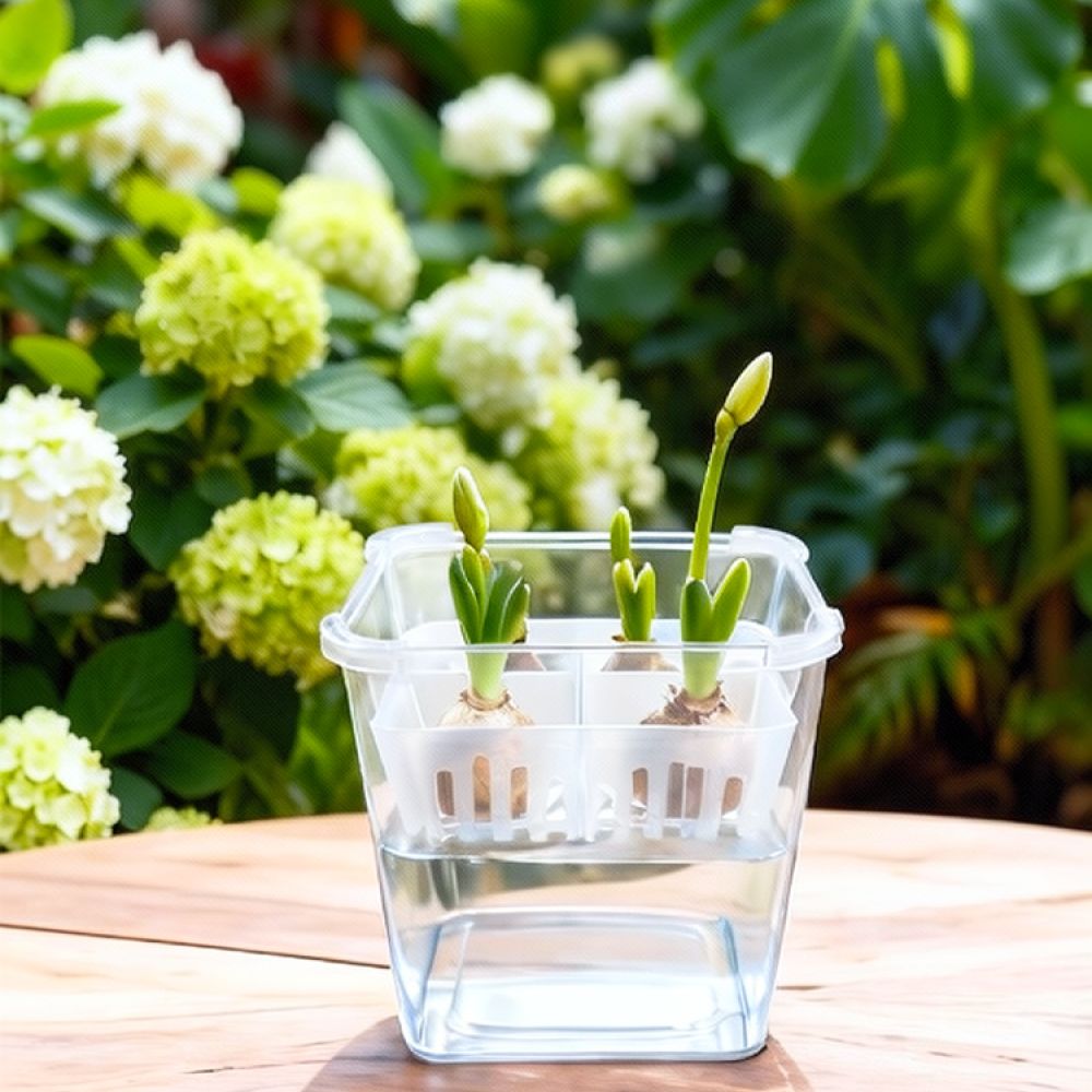 Hydroponic Vase For Tulip Lily - Vase Decor recension och pris