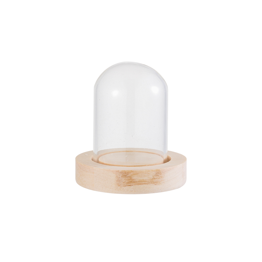 Fairy Lights Home Decor Terrar - Vase Decor recension och pris